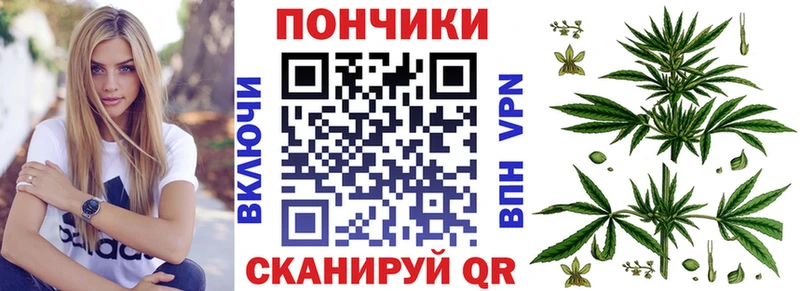Купить закладки  Ветлуга  Бошки марихуана тримм 